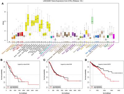 LINC00957 Acted as Prognostic Marker Was Associated With Fluorouracil Resistance in Human Colorectal Cancer